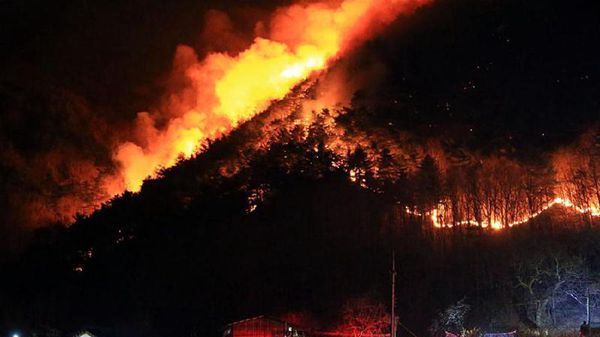 韩国江原襄阳遭山火侵袭 大火映红天际